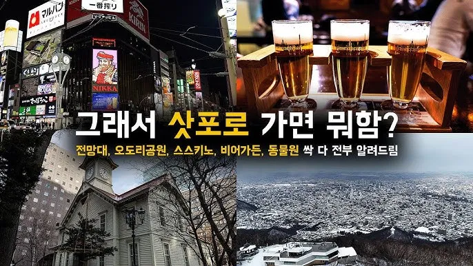 삿포로 항공권 특가 예약_8