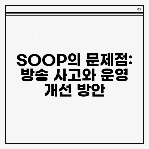 SOOP의 문제점: 방송 사고와 운영 개선 방안