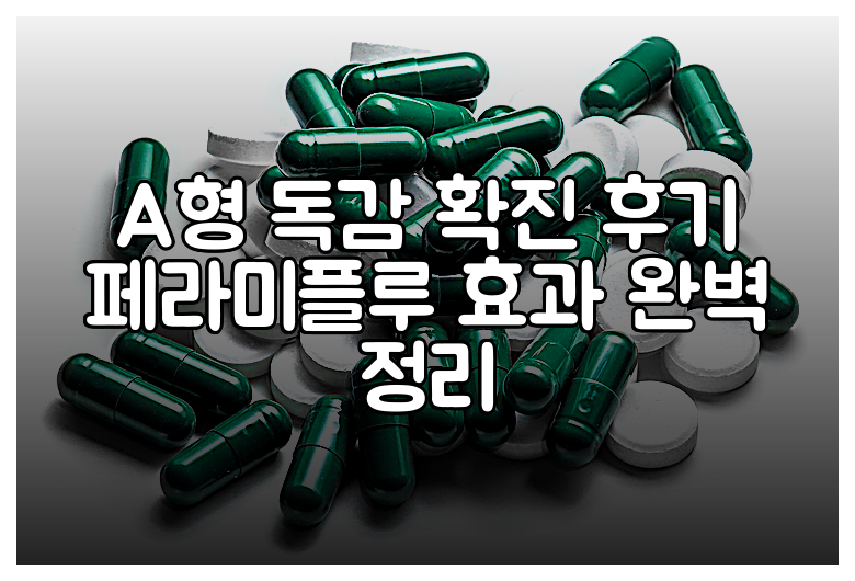 A형 독감 확진 후기 페라미플루 효과 완벽 정리
