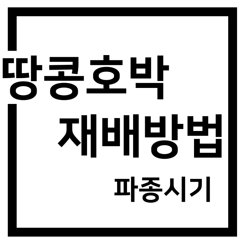  땅콩호박 파종 심는 시기 재배방법