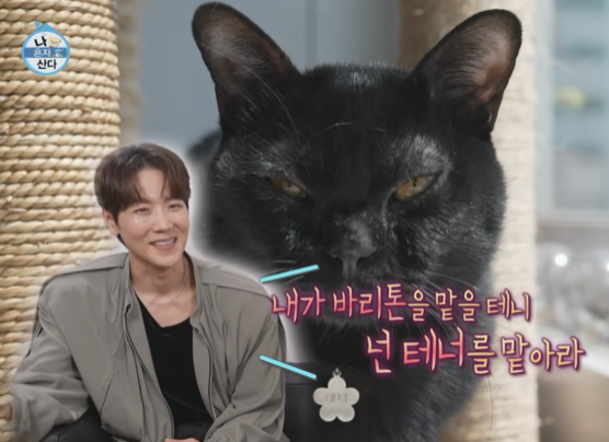 카이