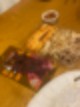 홍천 오션월드 [홍천] 소노펠리체 레지던스 비발디파크 로얄(60평) + 오션월드를 83