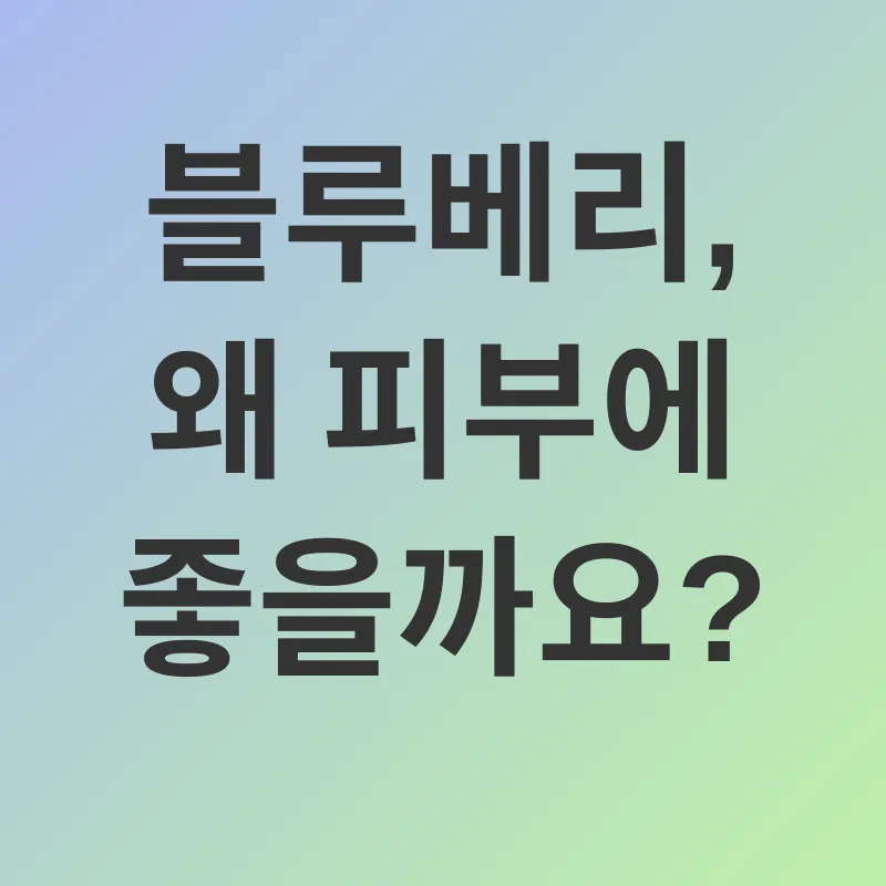 블루베리 피부 효능_1