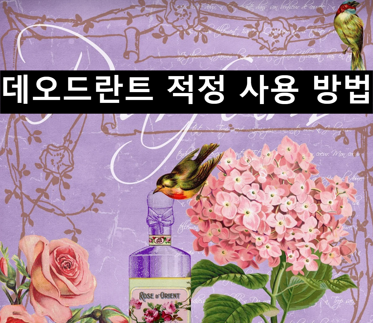  데오드란트의 효능과 사용방법