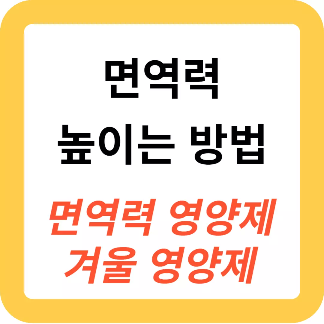 겨울철-면역력-높이는-영양제-추천