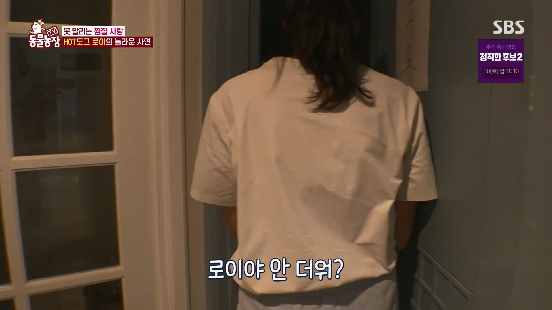 TV 동물농장.E1139.230924p.H264-F1RST.mp4_20230924_172327.588.jpg
