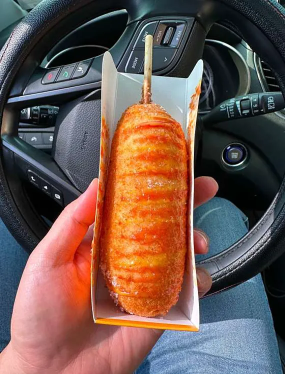 바람의언덕핫도그