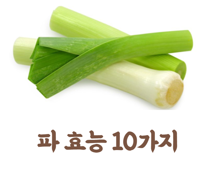  건강을 지키는 파 효능 10가지 (+눈과신체)