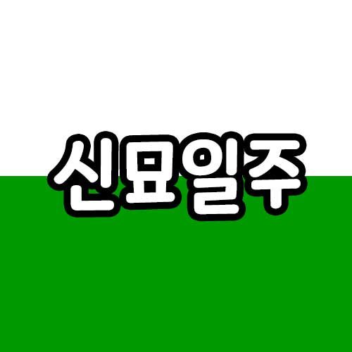 신묘일주 특징