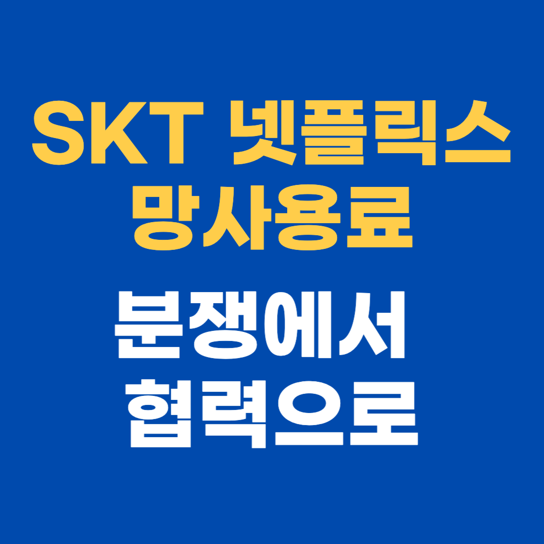 SKT 넷플릭스 망사용료