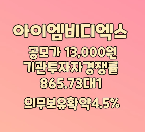 아이엠 비디엑스 공모주