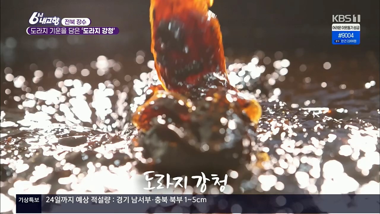 6시 내고향.E7687.221223p.H264-F1RST.mp4_20221229_204146.255.jpg