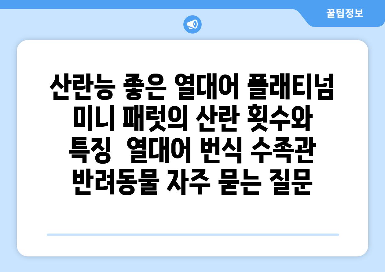 산란능 좋은 열대어, 플래티넘 미니 패럿의 산란 횟수와 특징 | 열대어 번식, 수족관, 반려동물