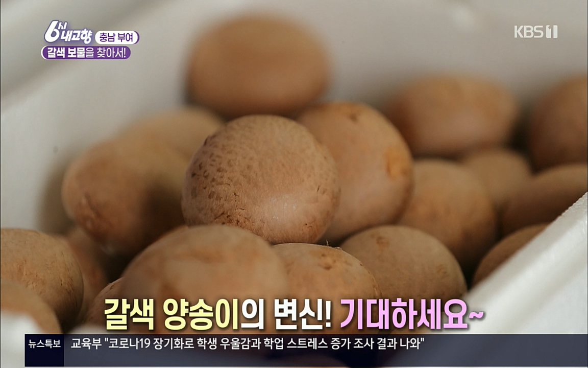 6시 내고향.E7512.220416p.H264-F1RST.mp4_20220502_185518.845.jpg