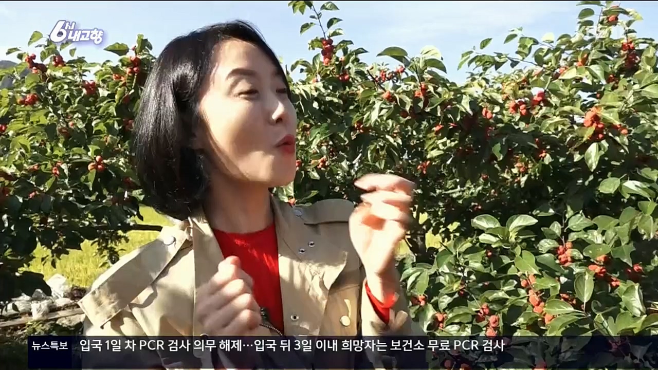 6시 내고향.E7640.221019p.H264-F1RST.mp4_20221020_170053.270.jpg