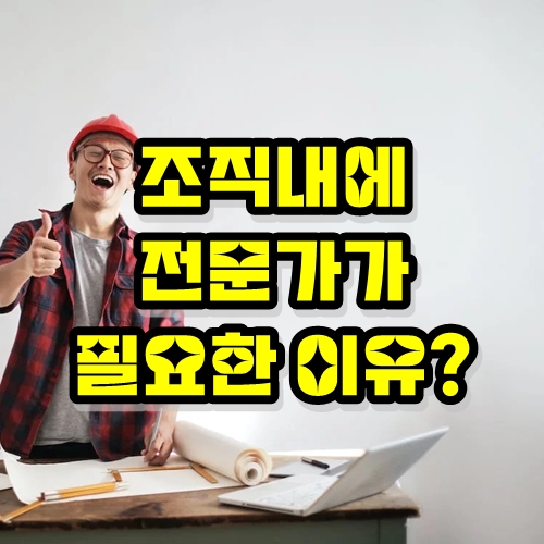  조직내에 전문가가 필요한 이유? (feat. 발굴육성방안)