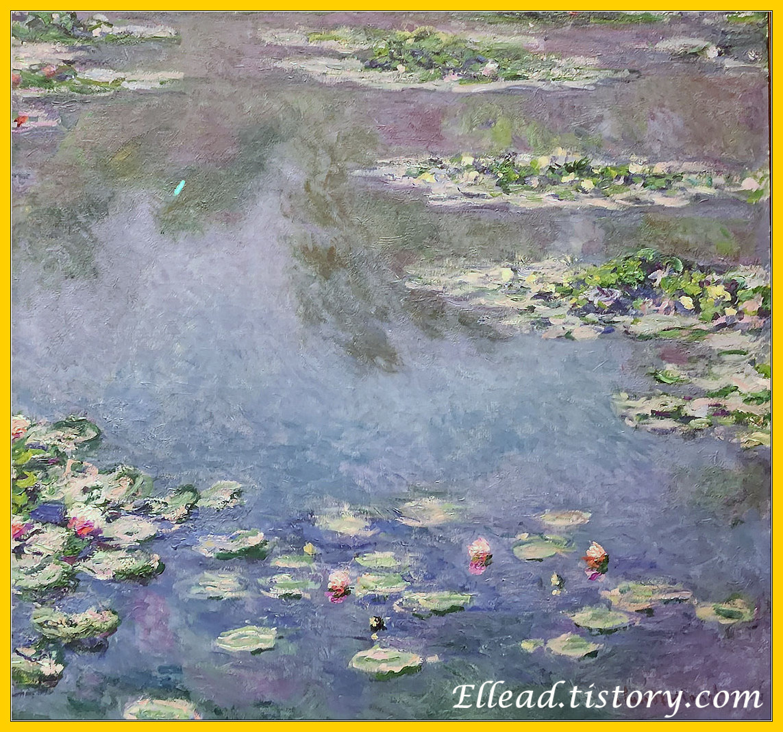 수련 Water Lilies 3