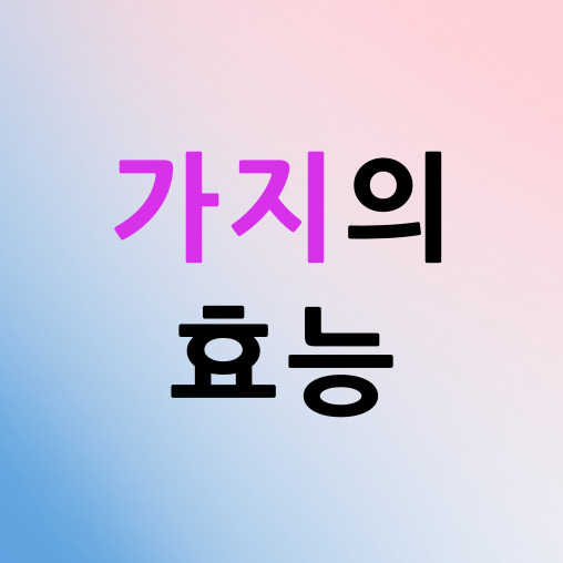 가지의 효능에 대한 안내