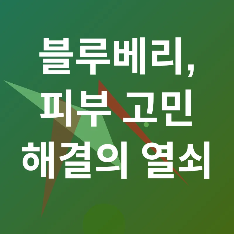 블루베리 피부 효능_2