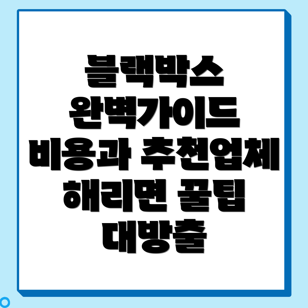 블랙박스 설치