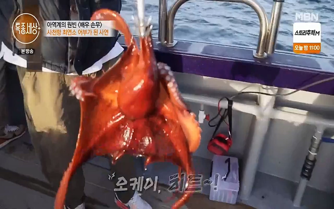 현장르포 특종세상.E530.220513p-NEXT.mp4_20220514_184548.042.jpg