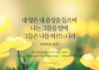 요한복음 묵상 해석_12