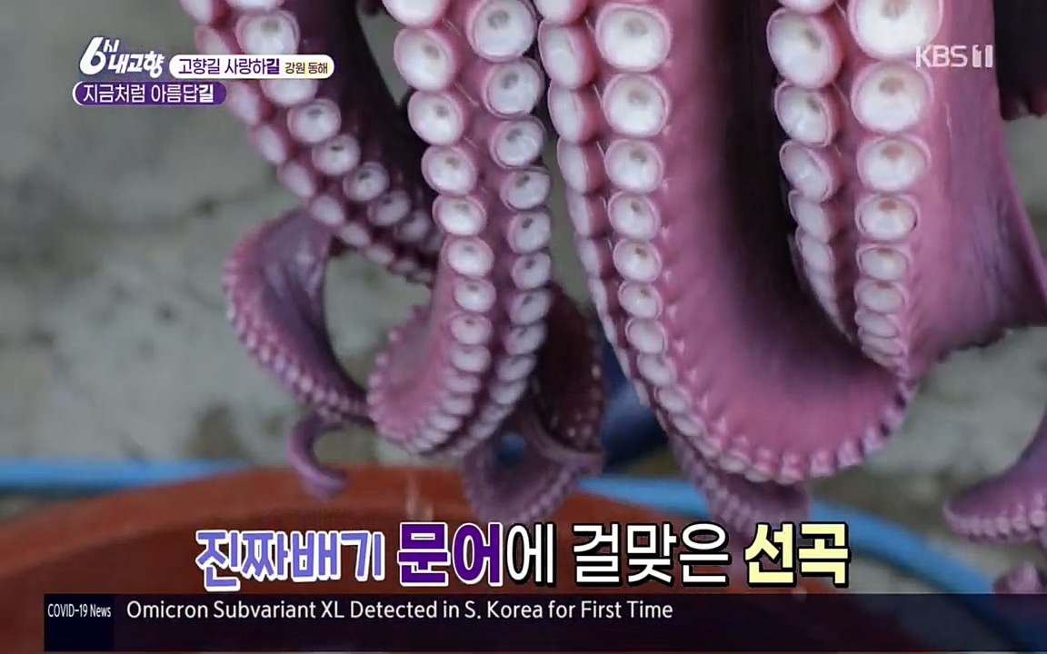 6시 내고향.E7512.220416p.H264-F1RST.mp4_20220502_192227.440.jpg