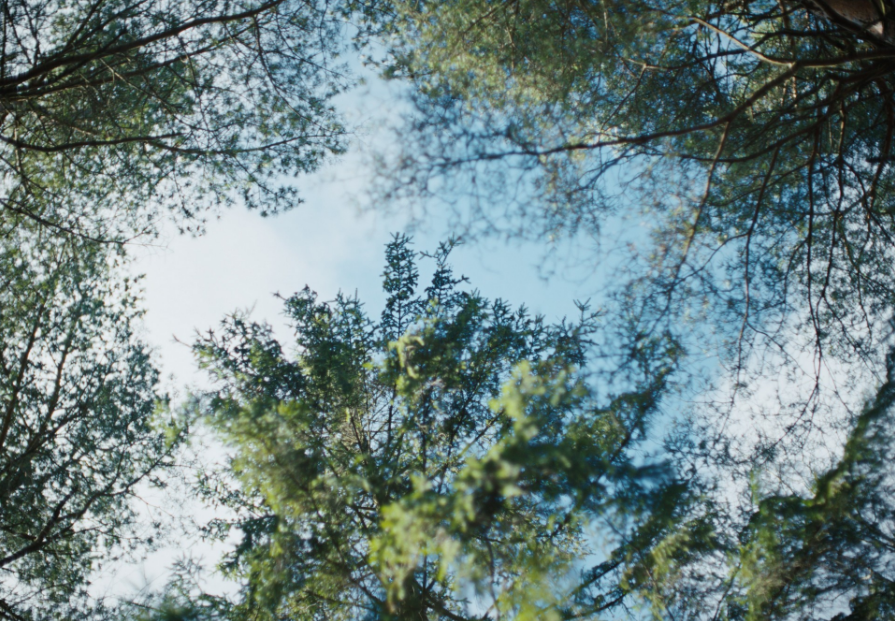 볼보 EX90에 'Sunlike LED' 새 조명 설치 5