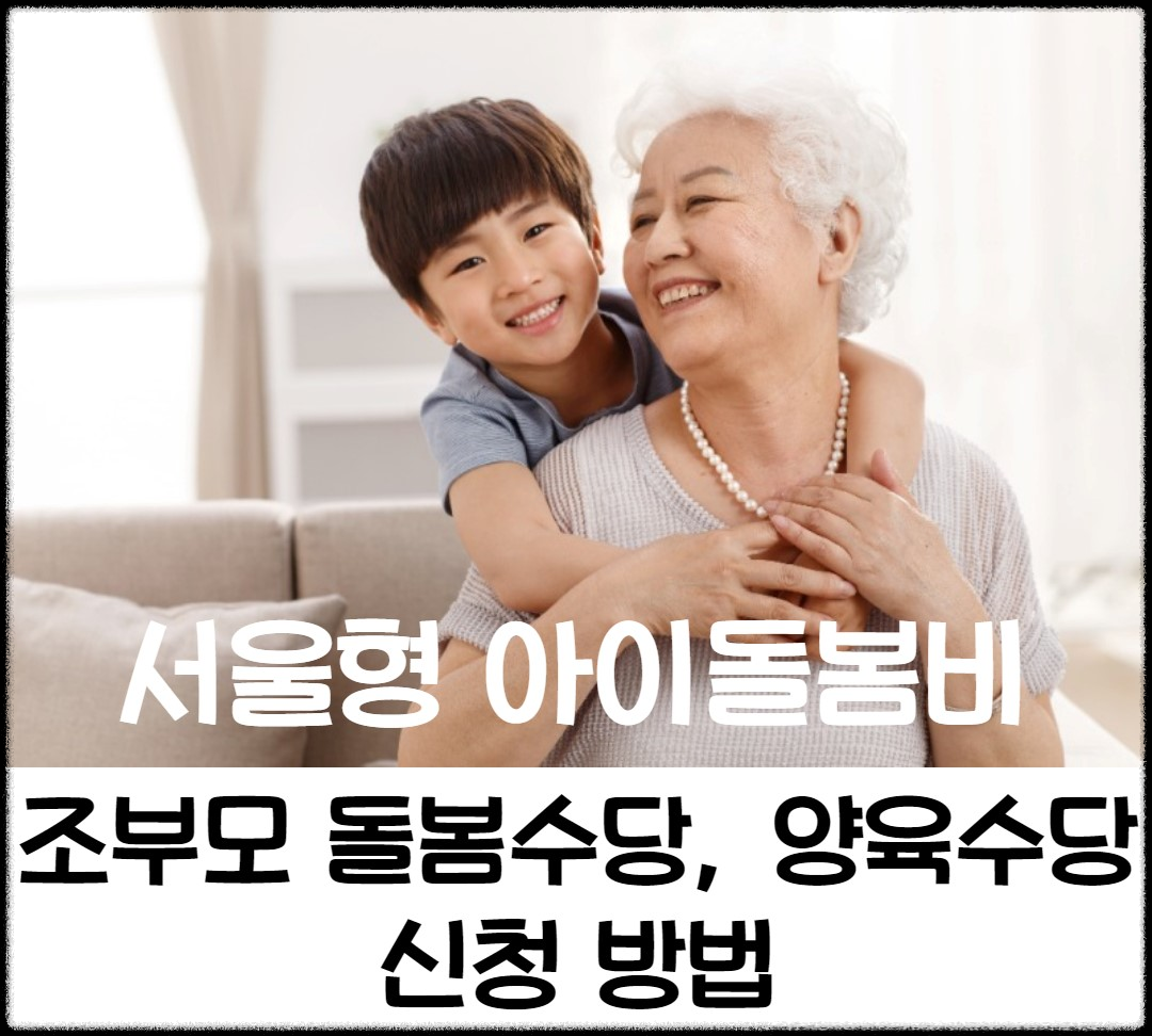 서울형 아이돌봄비