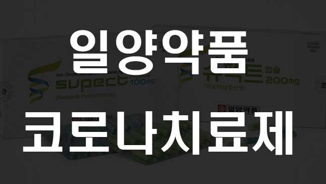  일양약품 코로나 치료제 슈펙트 효과 발견