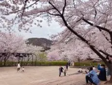 서대문-안산 자락길 3