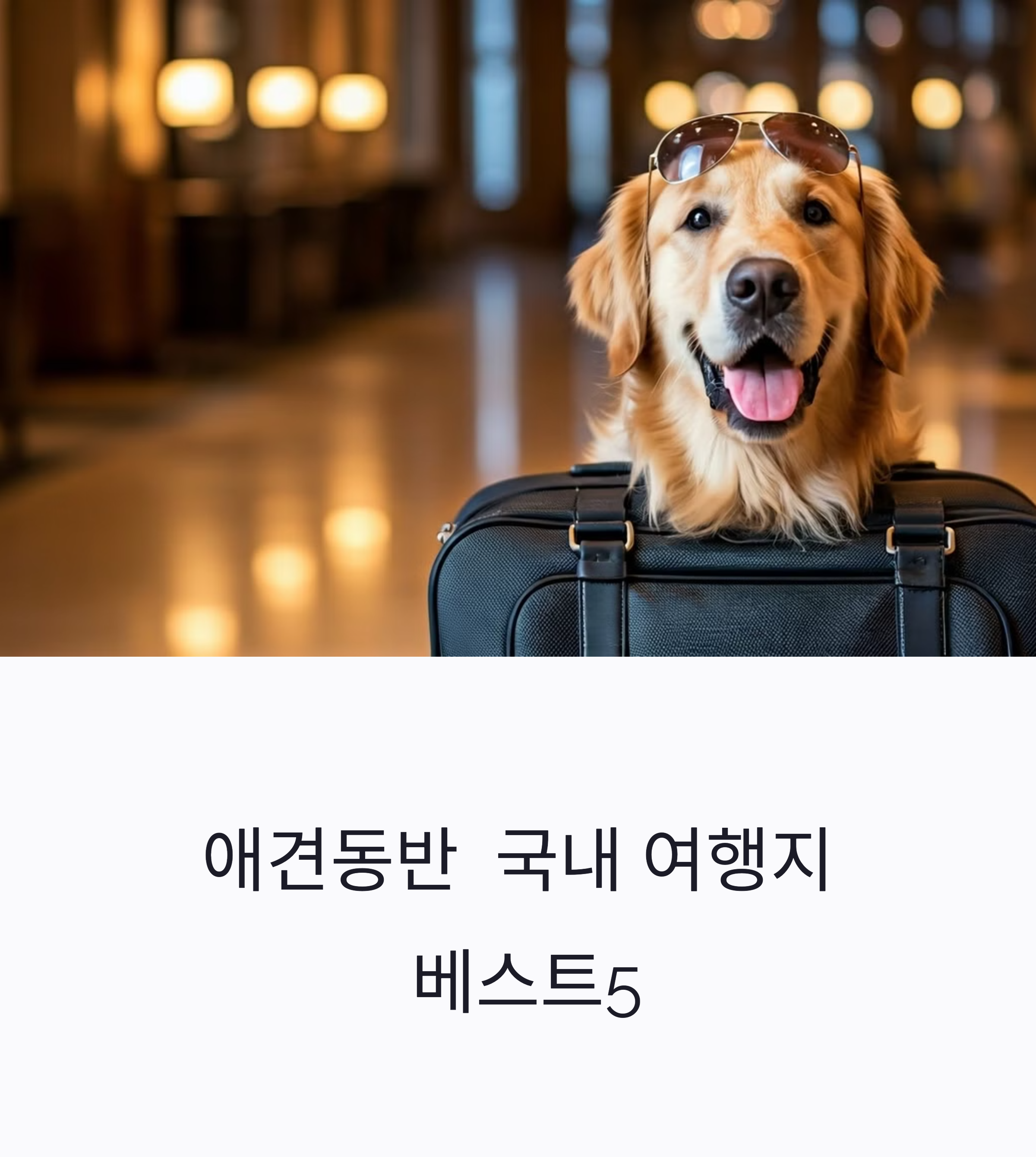 애견동반 국내 여행지
