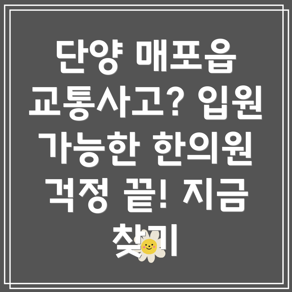 단양군 매포읍 교통사고 한의원