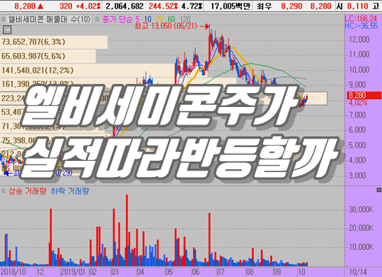  엘비세미콘 주가 실적따라 갈까?