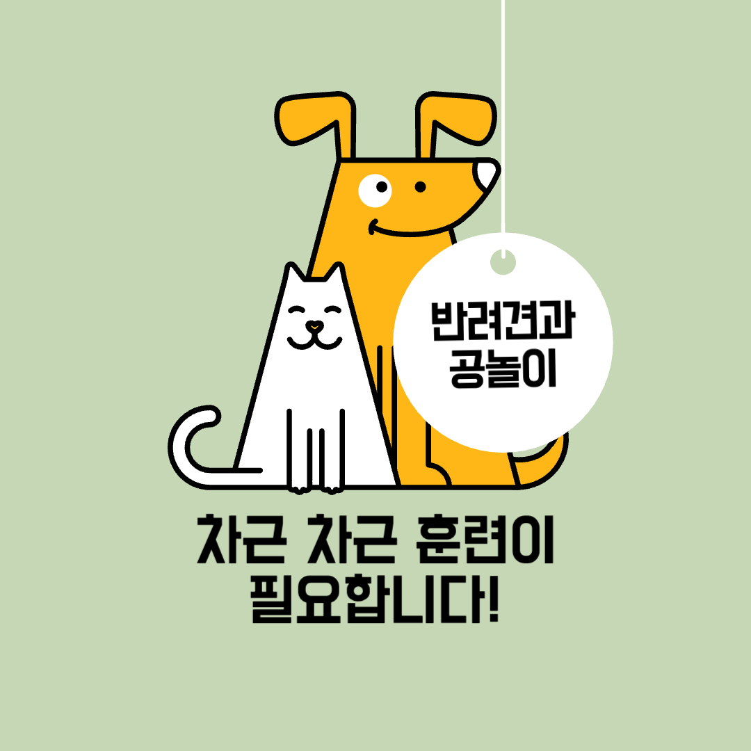  반려견과 공놀이하는 방법! 재미있게 휴일을 보내세요!