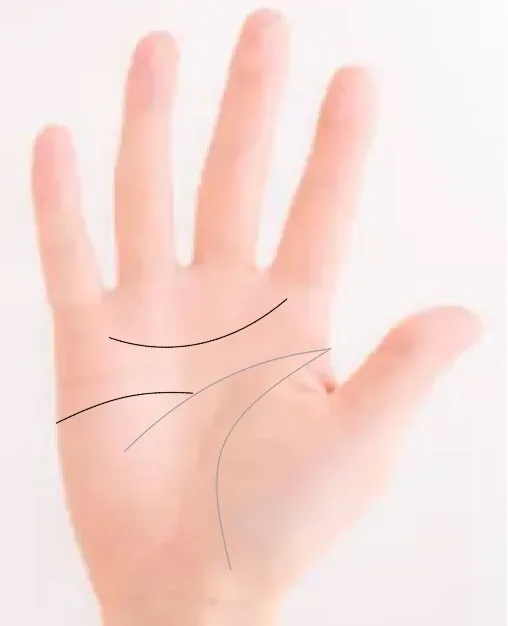 두개의 감정선3