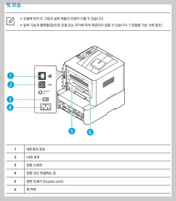 뒷모습