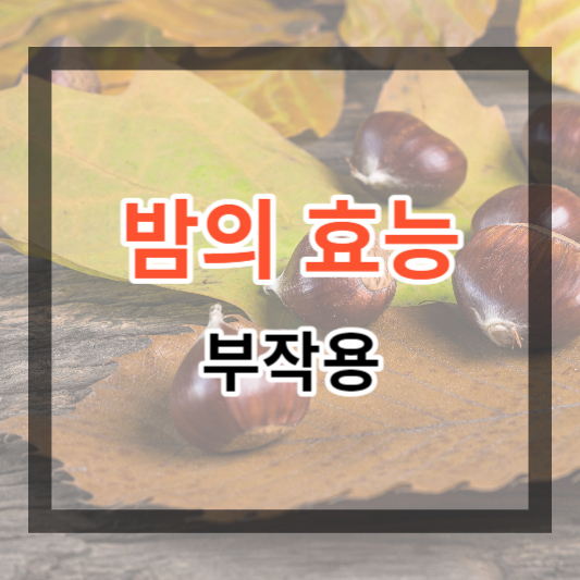  밤의 효능 및 부작용, 칼로리 정보로 건강하게 먹기