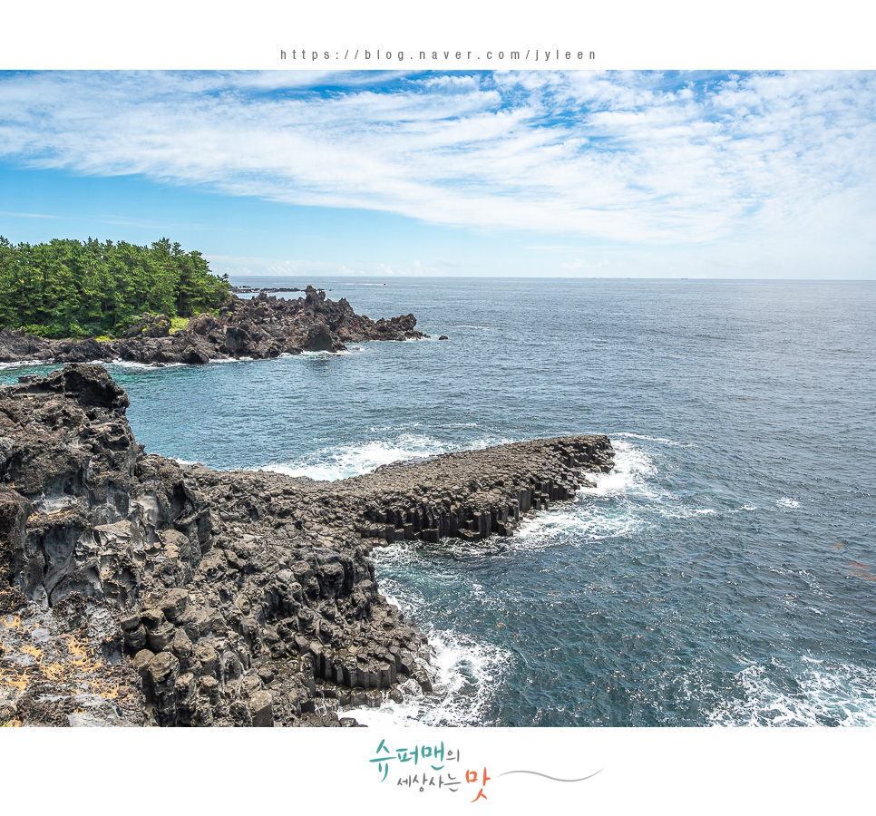 승합차렌트 제주도 20