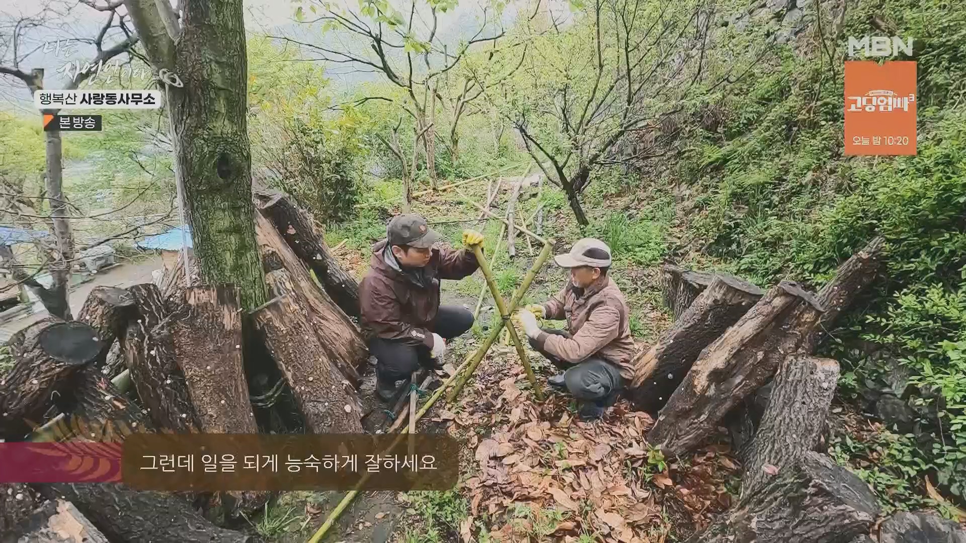 나는 자연인이다.E552.230503p.H264-F1RST.mp4_20230504_200312.336.jpg