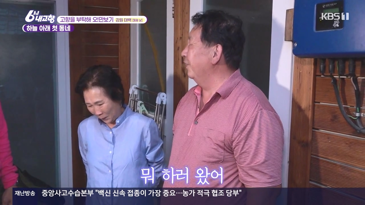 6시 내고향.E7910.231032p-NEXT.mp4_20231101_204411.034.jpg