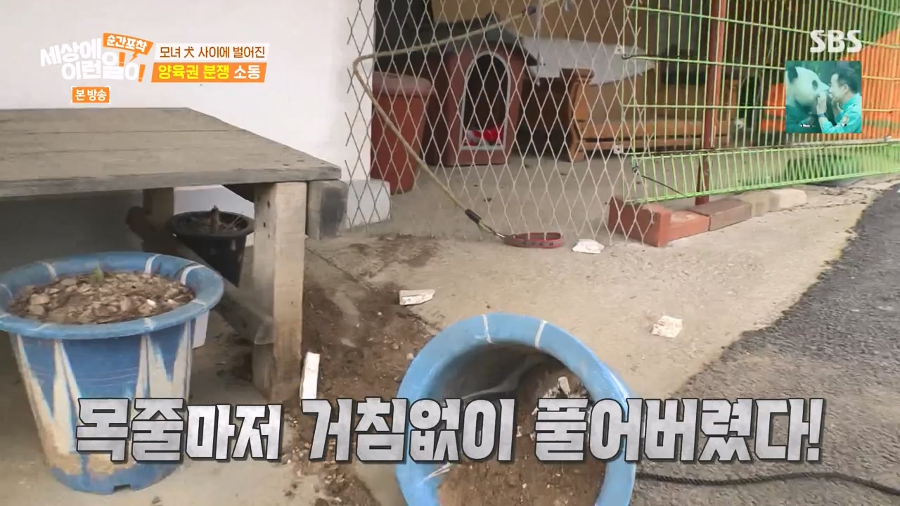 순간포착 세상에 이런일이.E1269.240317p-NEXT.mp4_20240317_163607.250.jpg