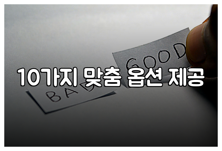 10가지 맞춤 옵션 제공