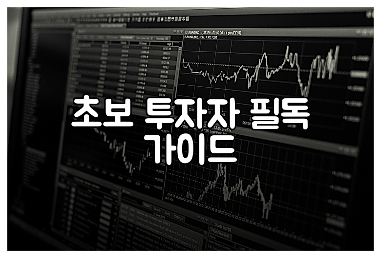 초보 투자자 필독 가이드