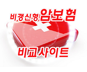  효과적으로 알아보는 유병자암보험