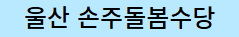울산 손주돌봄수당