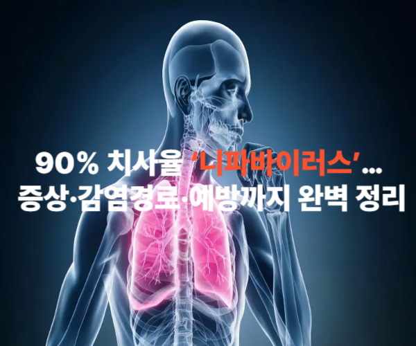 90% 치사율 ‘니파바이러스’… 증상·감염경로·예방까지 완벽 정리 썸네일