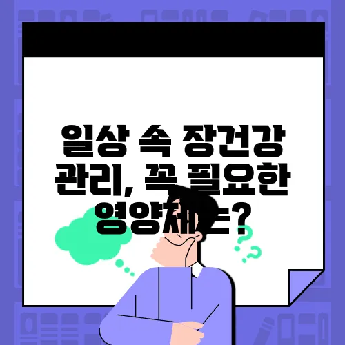 일상 속 장건강 관리, 꼭 필요한 영양제는?