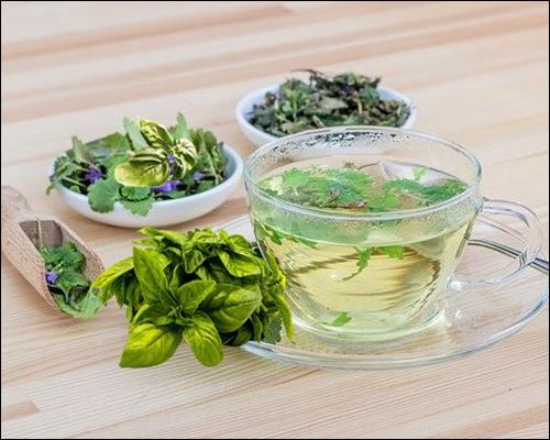  바질 차 효능 및 부작용, 바질 활용 법