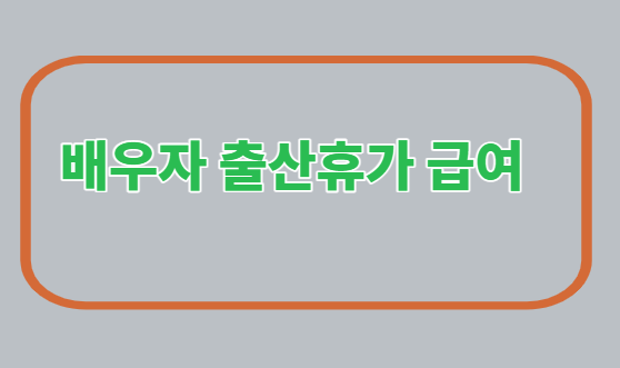  고용보험/ 배우자 출산휴가/급여조건/신청